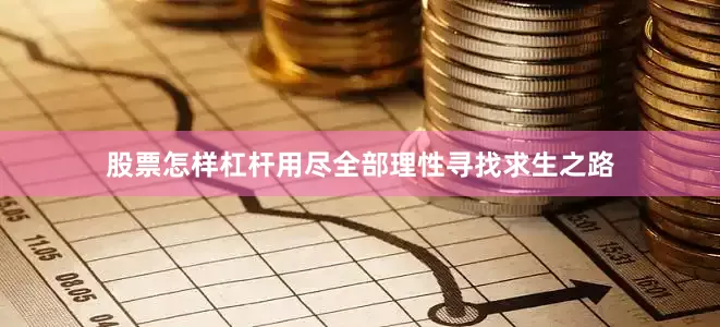 股票怎样杠杆用尽全部理性寻找求生之路