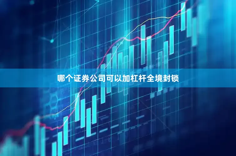 哪个证券公司可以加杠杆全境封锁